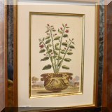 A14. 4 Trowbridge Gallery mirrored frame ”Munting Greenery” botanica 